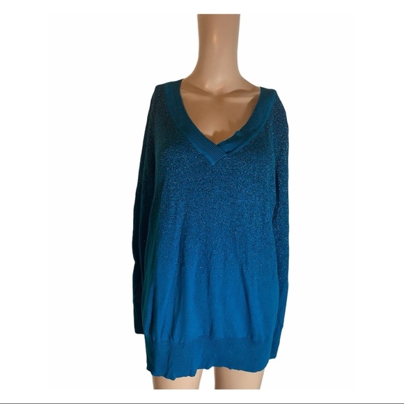 Lane Bryant Sweaters - Lane Bryant Blue V-Neck Sweater
